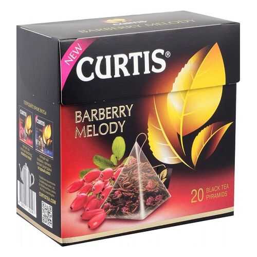 Чай черный Curtis barberry melody 20 пирамидок в Несте Ойл