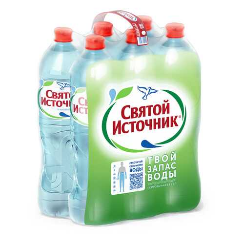 Вода питьевая Святой Источник газированная 1.5 л 6 штук в упаковке в Несте Ойл