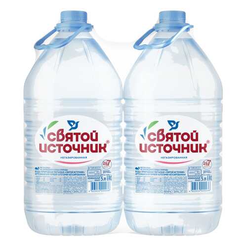 Вода питьевая Святой источник негазированная 5л/2 в Несте Ойл
